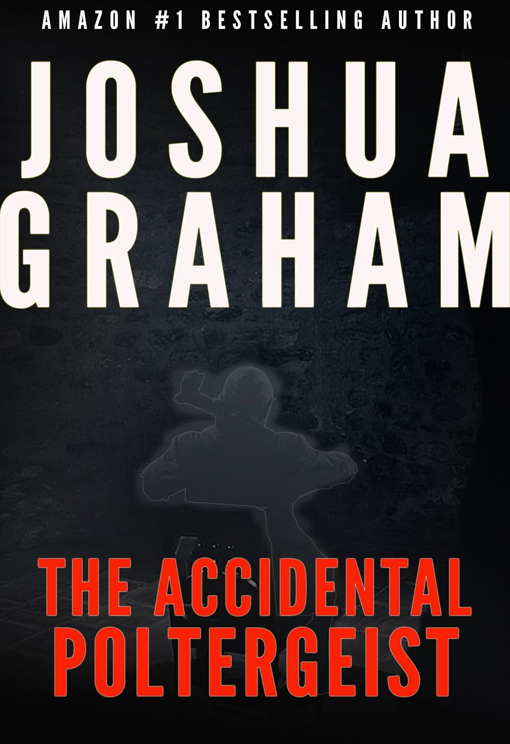 THE ACCIDENTAL POLTERGEIST poster