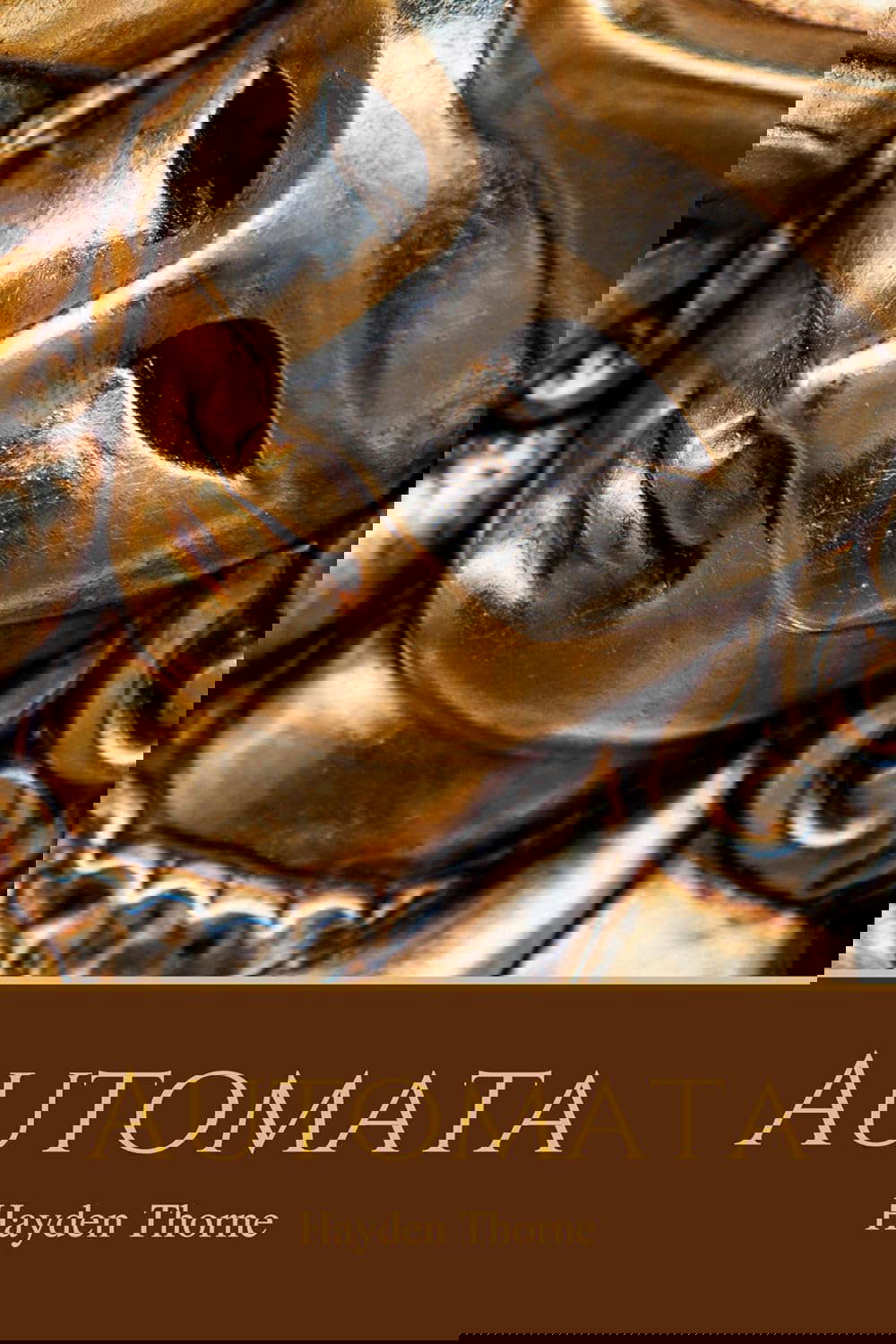 Automata (Curiosities Book 2) poster