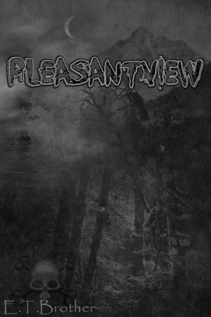 Pleasantview poster