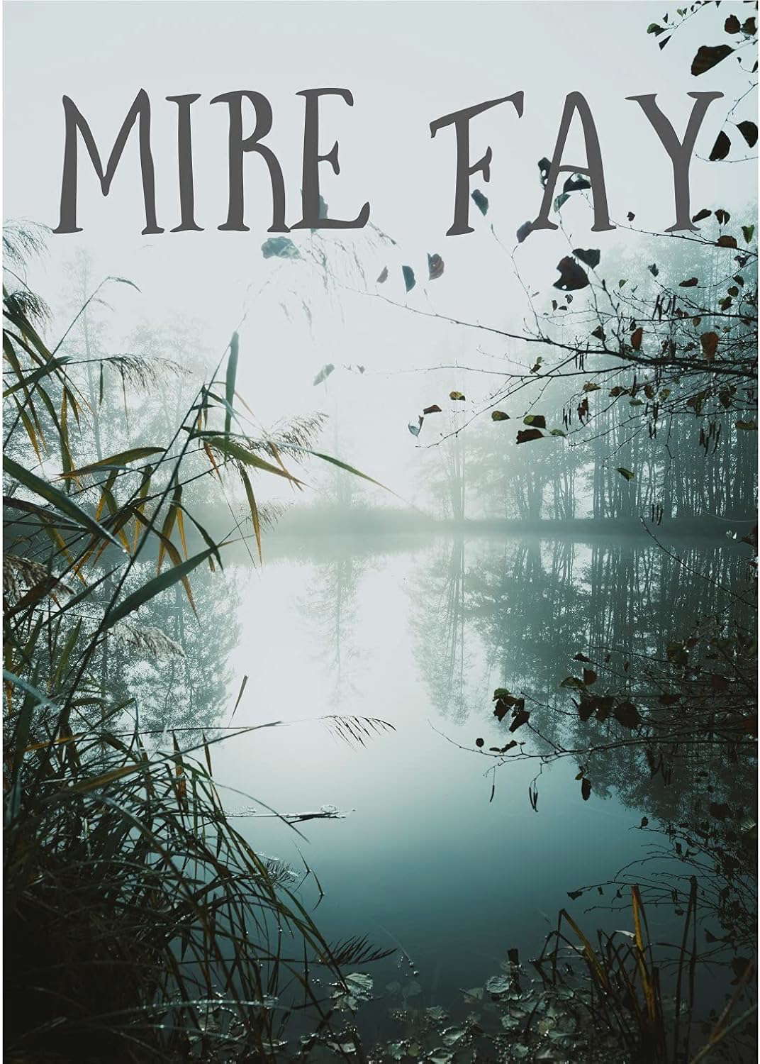 Mire fay poster
