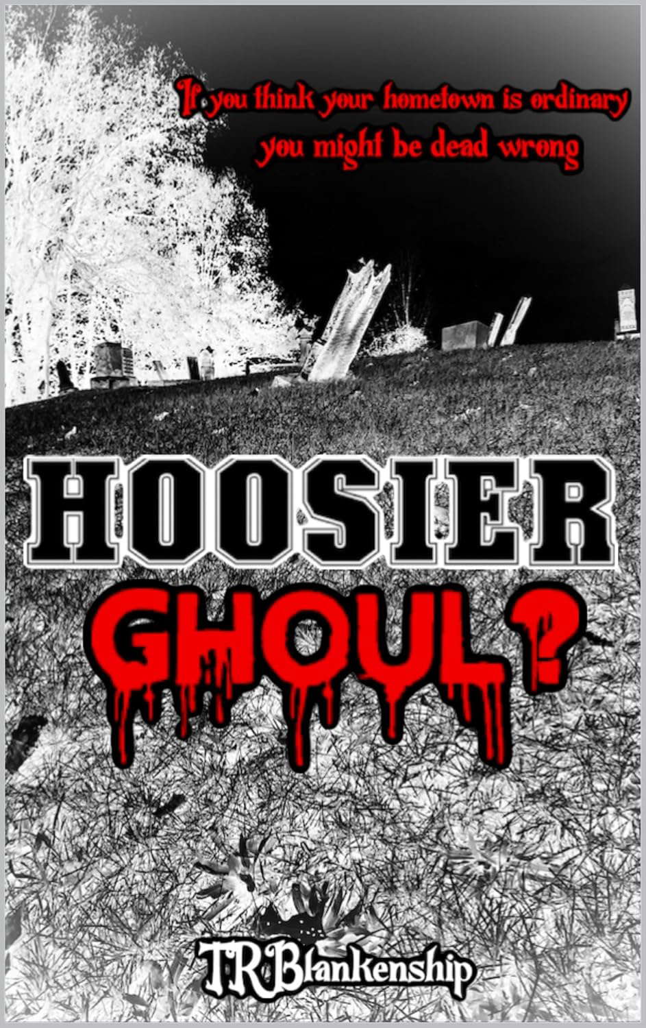 Hoosier Ghoul? (The Hoosier Series Book 1) poster