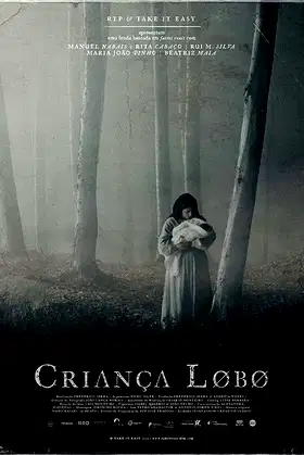 Wolf Child poster
