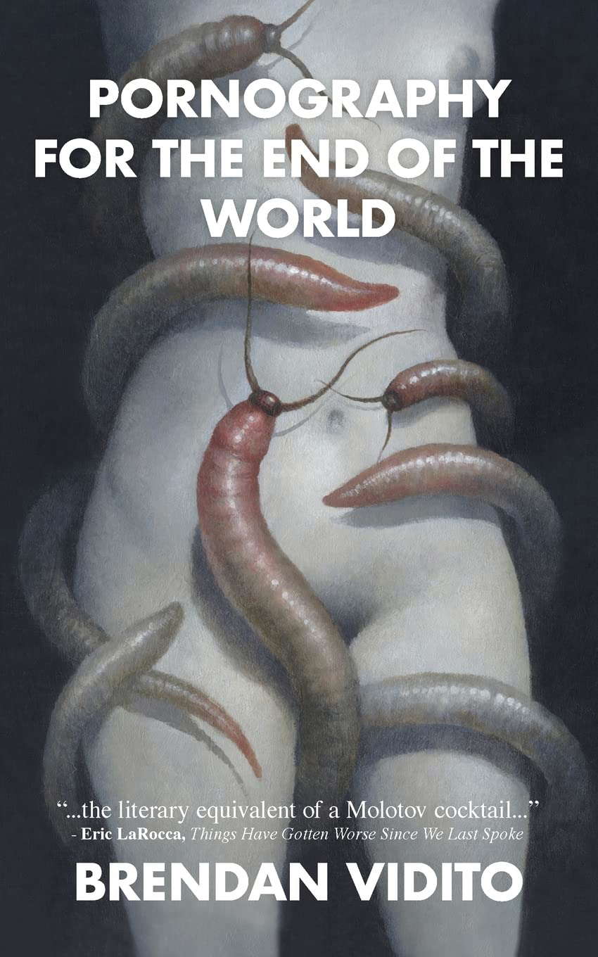 Pornography for the End of the World poster