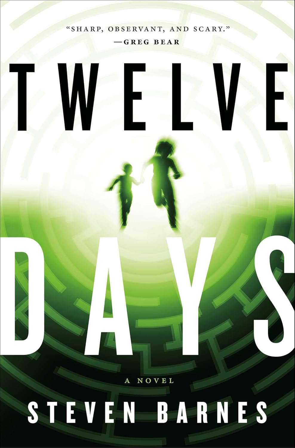 Twelve Days: A Novel poster