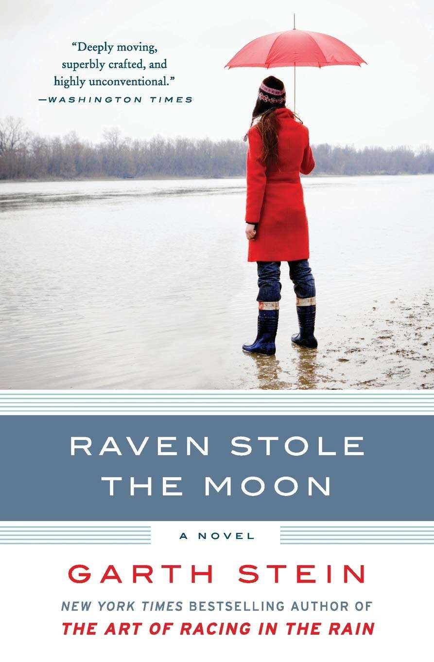 Raven Stole the Moon: A Novel poster
