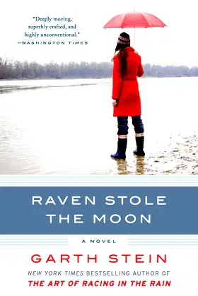 Raven Stole the Moon: A Novel poster