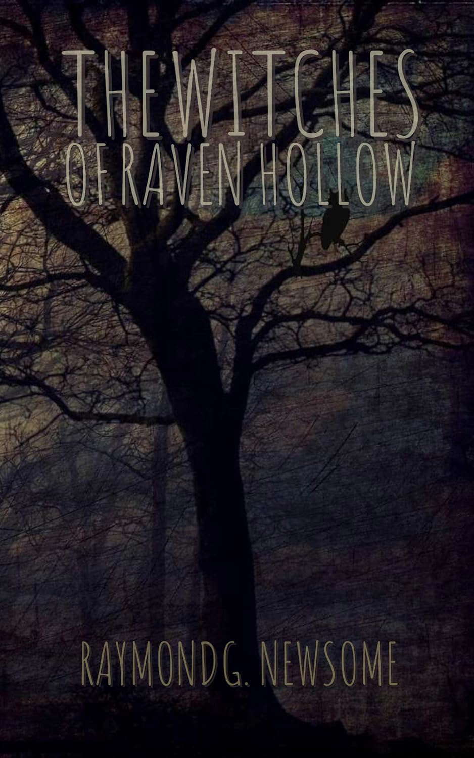 The Witches of Raven Hollow poster