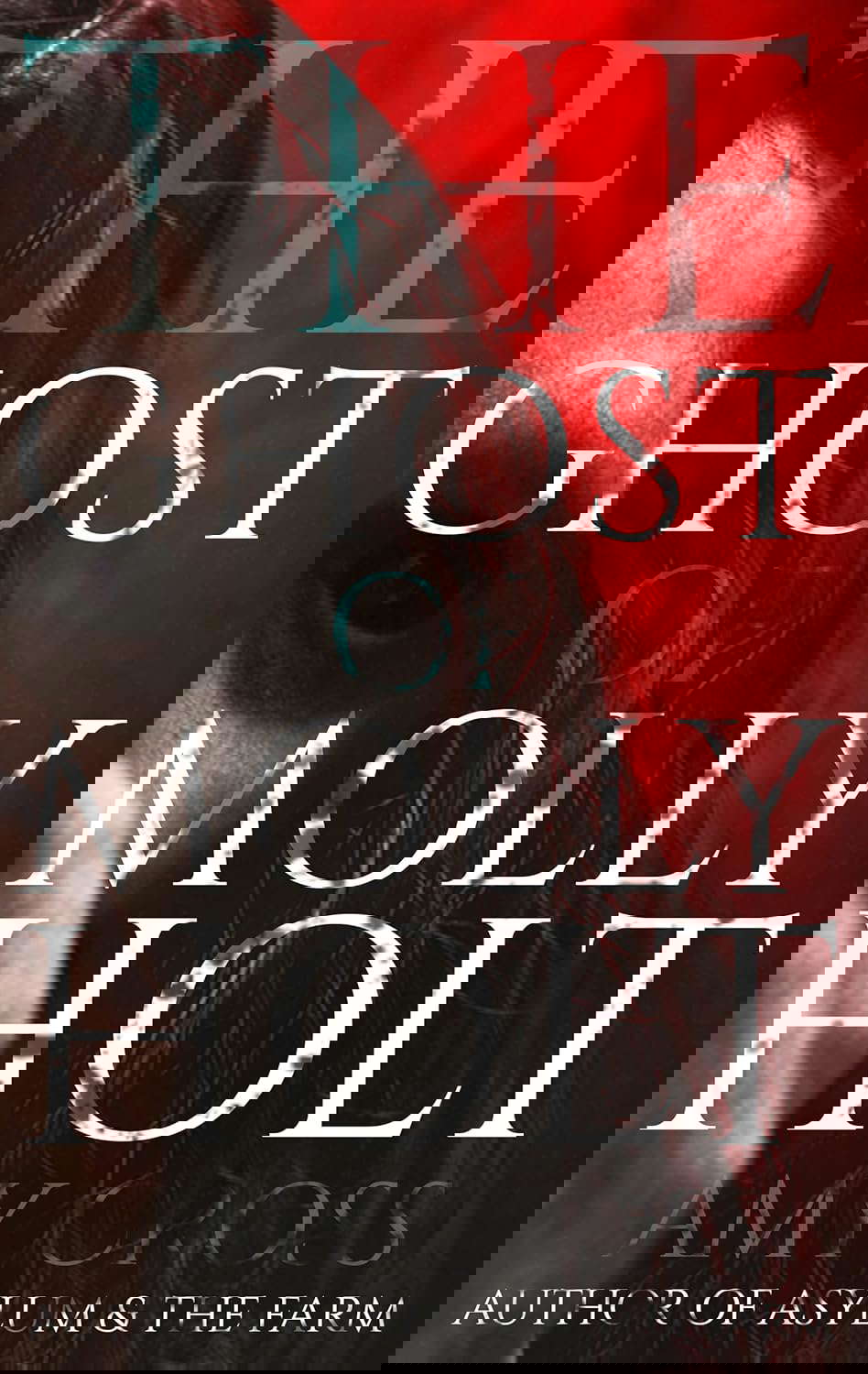 The Ghost of Molly Holt (The Blood and Gore Collection) poster