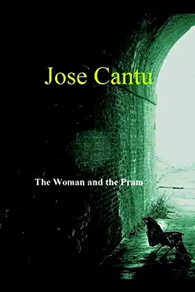 The Woman and the Pram poster