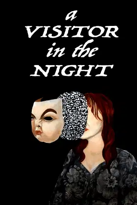 A Visitor in the Night poster