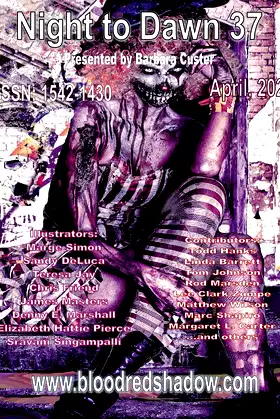 Night to Dawn 37 poster