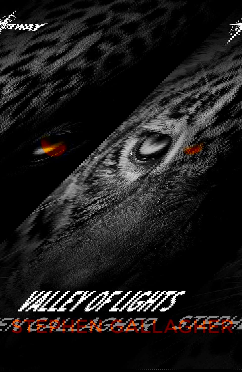 Valley of Lights poster