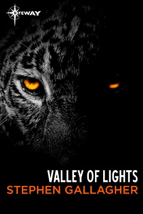 Valley of Lights poster