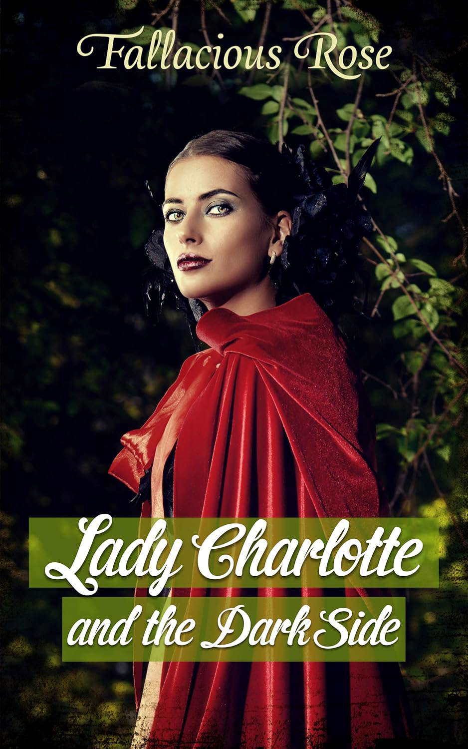 Lady Charlotte and the Dark Side poster