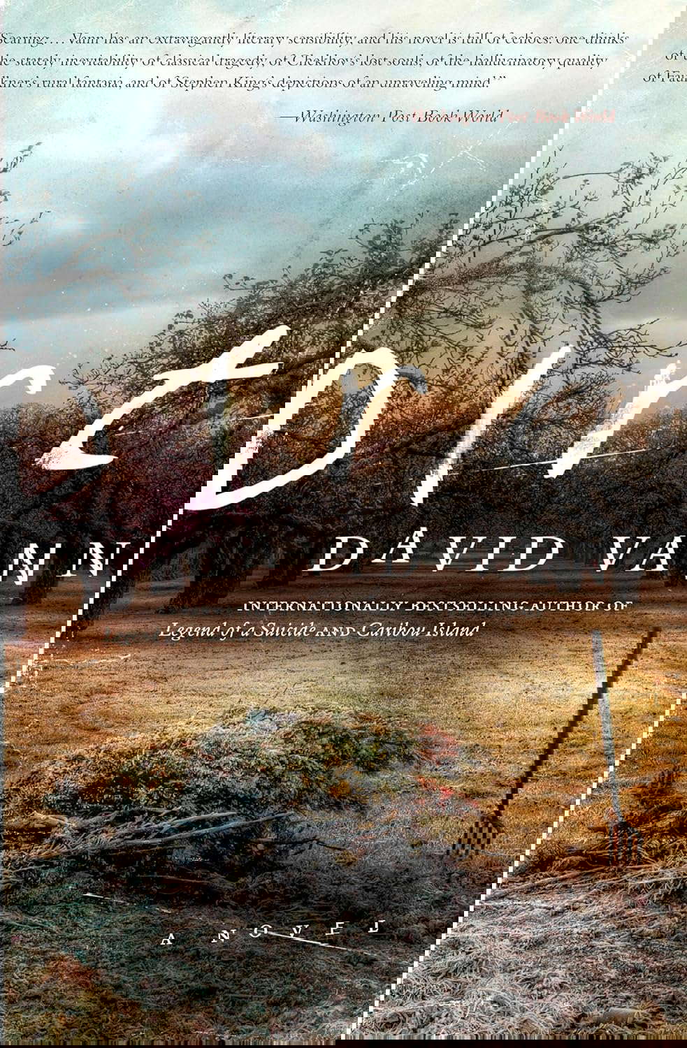 Dirt: A Novel poster