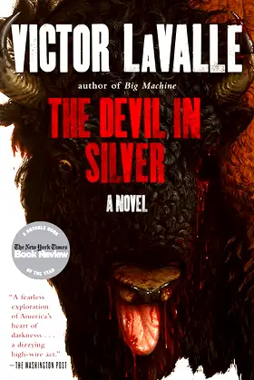 The Devil in Silver: A Novel poster