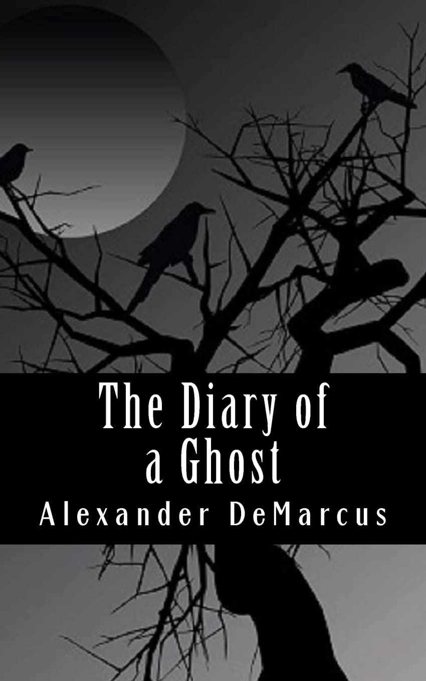 The Diary of a Ghost poster