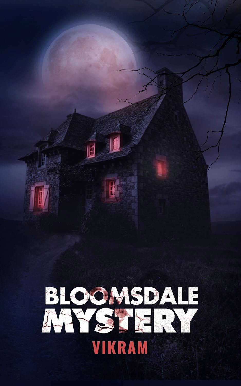 BLOOMSDALE MYSTERY poster