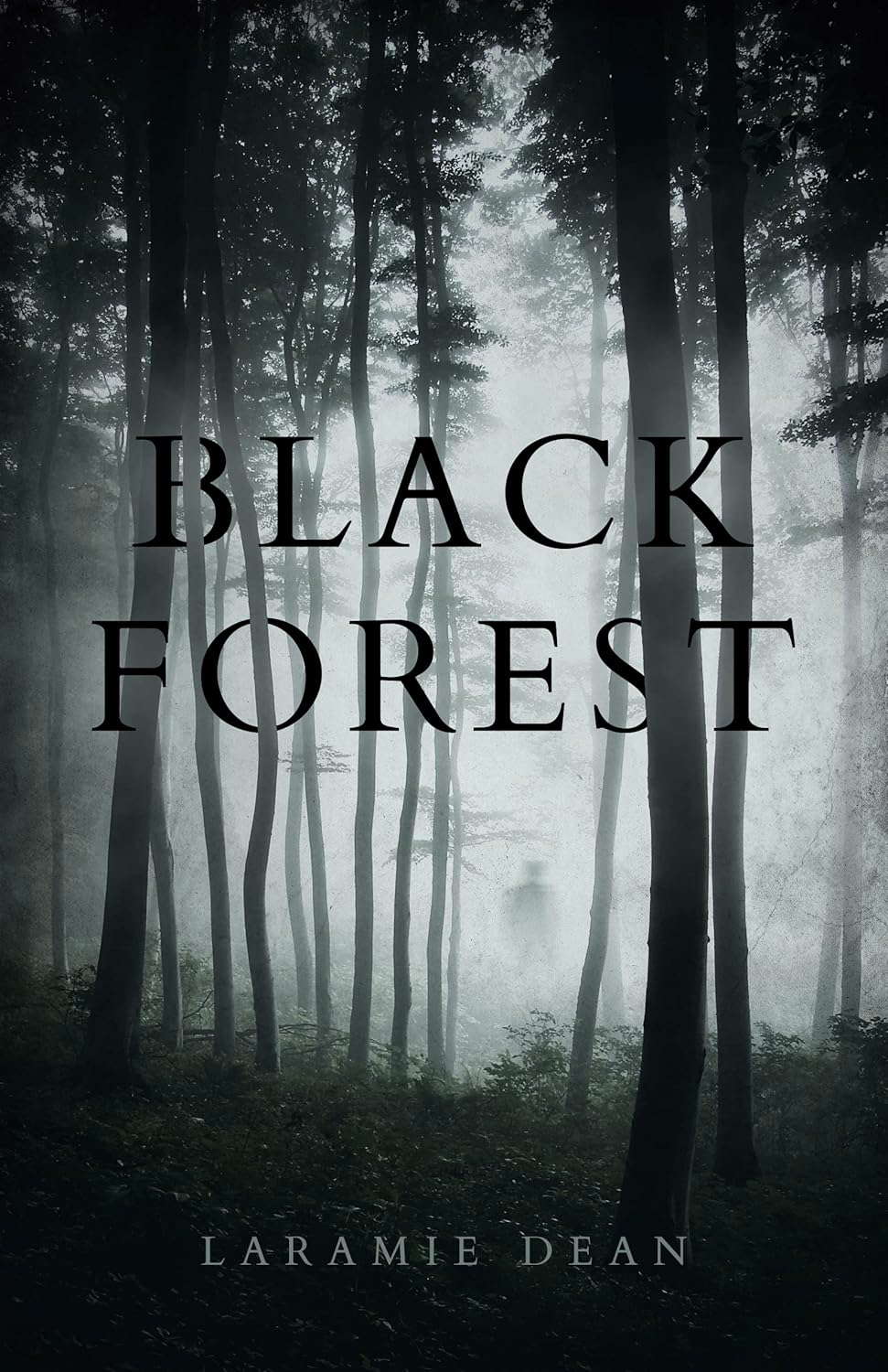 Black Forest poster