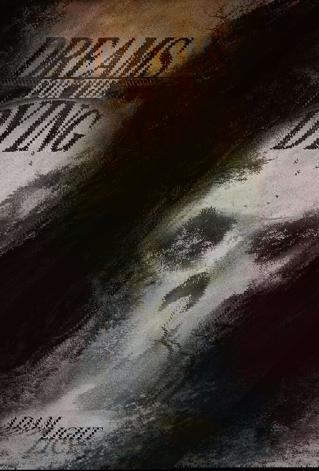 Dreams for the Dying poster