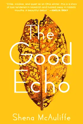 The Good Echo poster