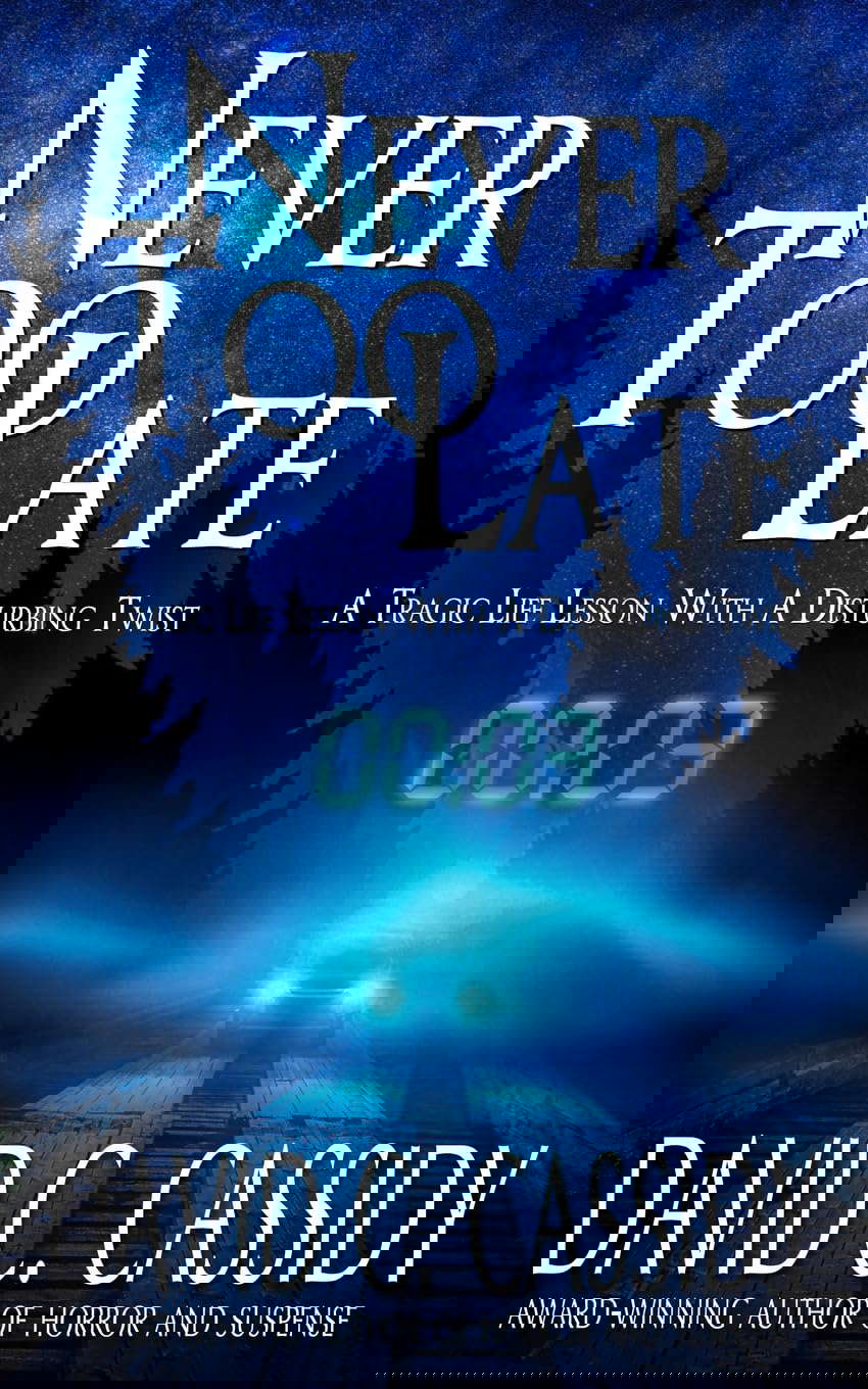 Never Too Late poster