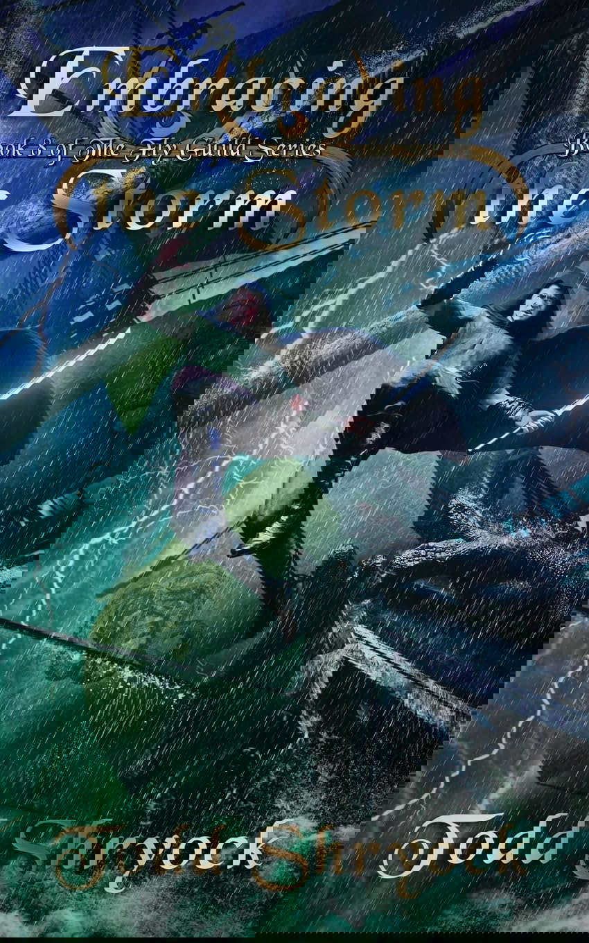 Embracing the Storm (The Fly Guild) poster