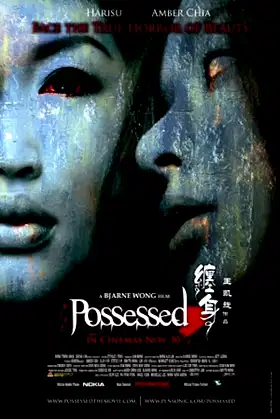 Possessed poster