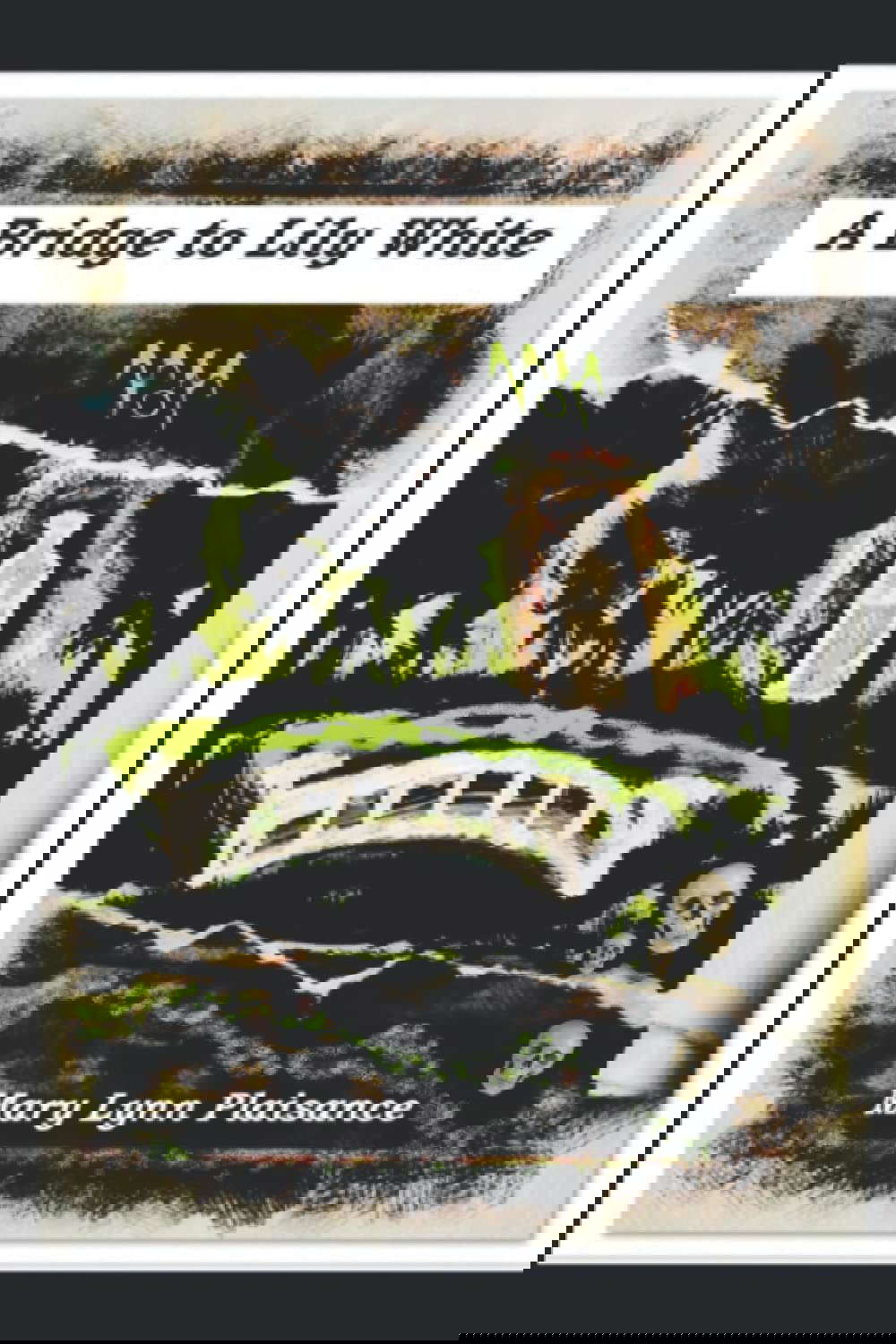 A Bridge to Lily White poster