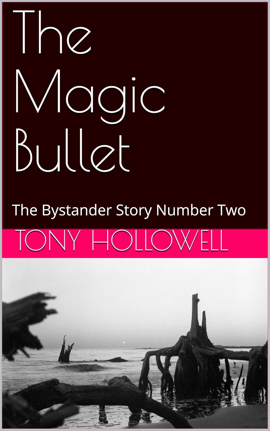 The Magic Bullet: The Bystander Story Number Two poster