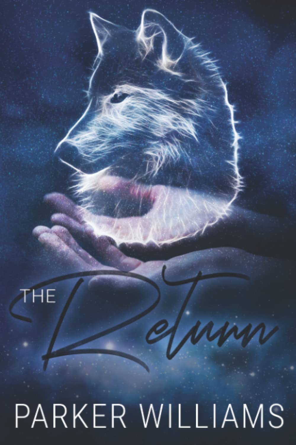 The Return poster