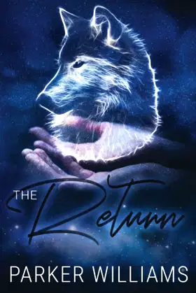 The Return poster