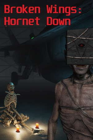 Broken Wings: Hornet Down poster