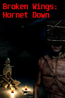 Broken Wings: Hornet Down poster