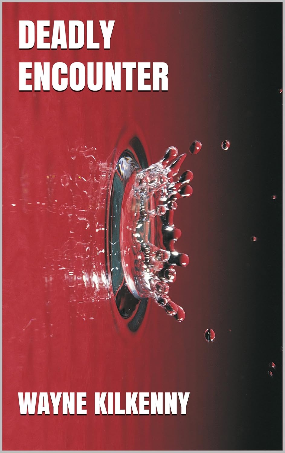 Deadly Encounter poster