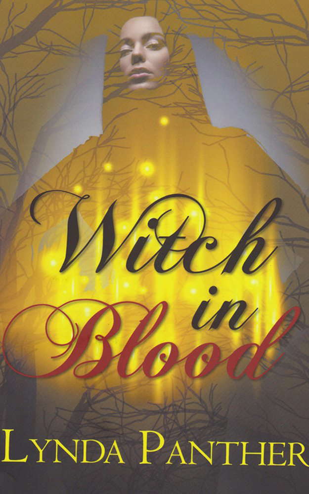 Witch in Blood: A Past Imperfect (The BloodWitch Chronicles Book 1) poster