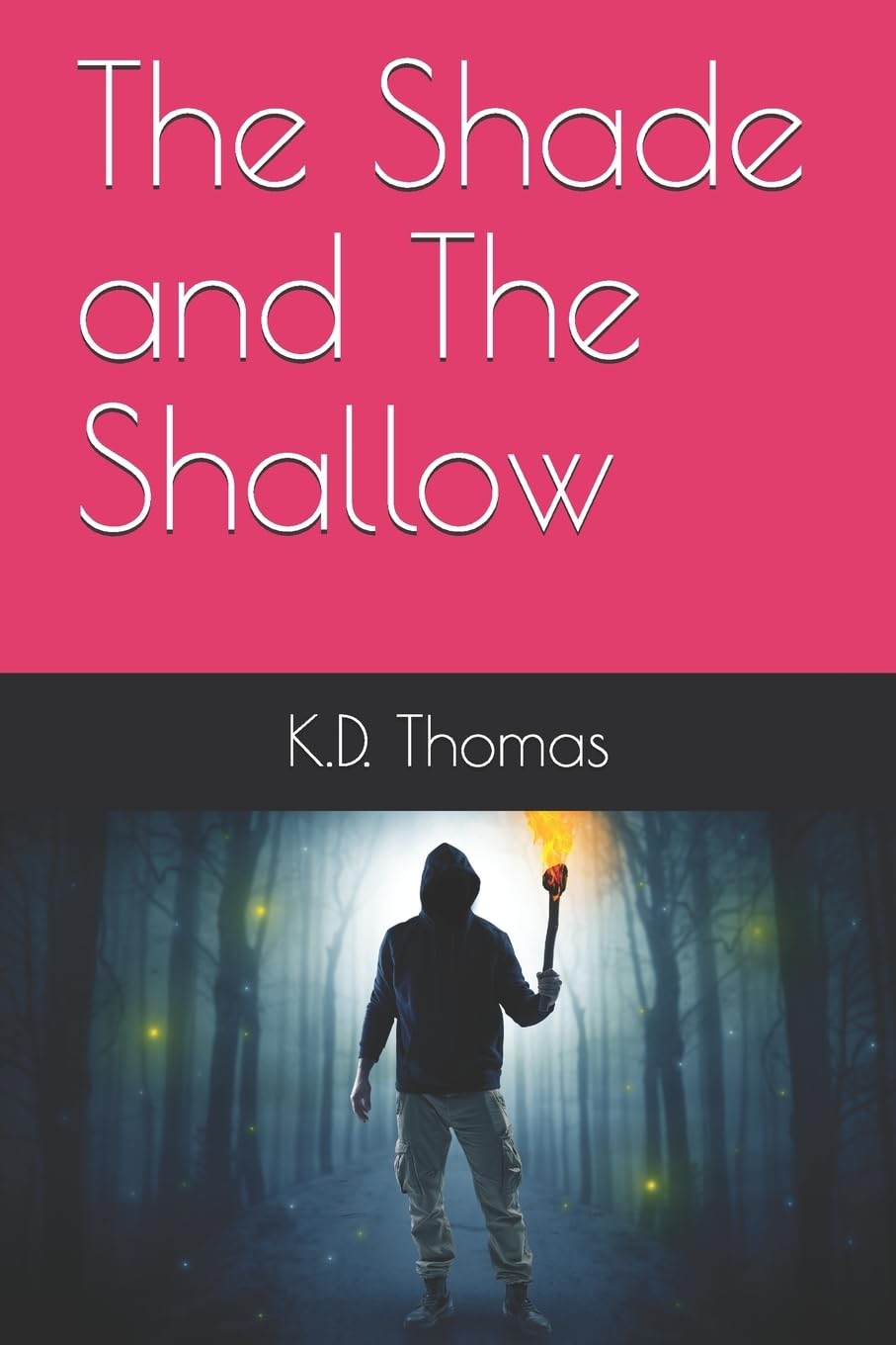 The Shade and The Shallow (Soul Collector Chronicles) poster