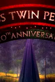 Miss Twin Peaks poster