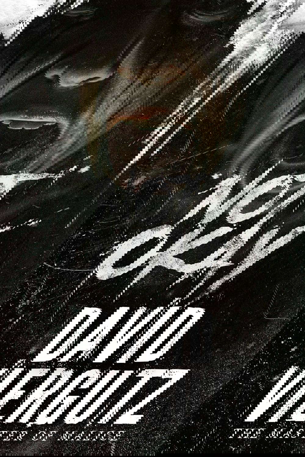Not Okay poster