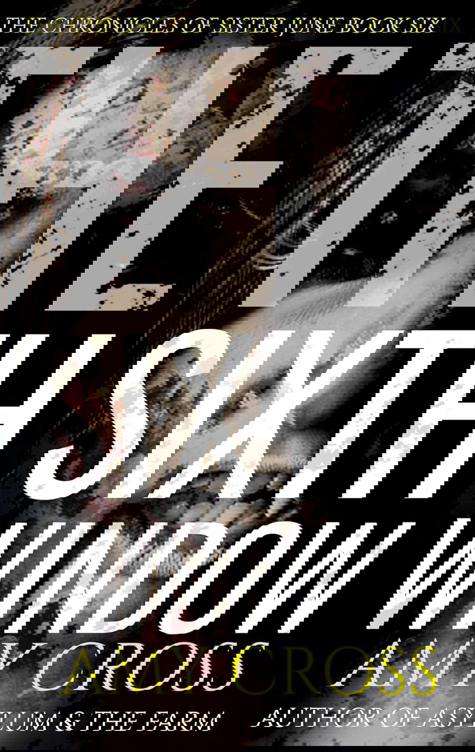 The Sixth Window (The Chronicles of Sister June Book 6) poster