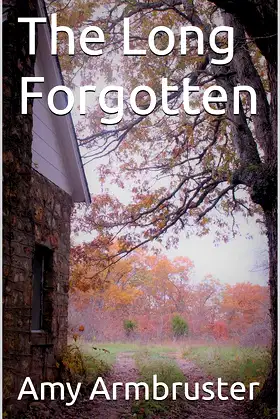The Long Forgotten poster