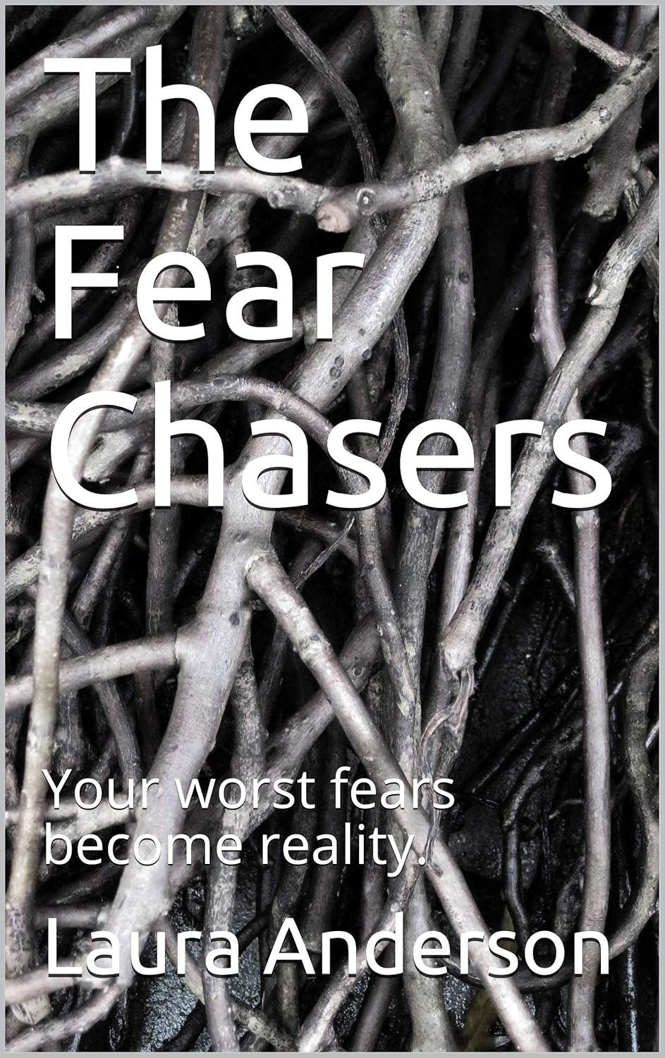 The Fear Chasers: Your worst fears become reality. poster