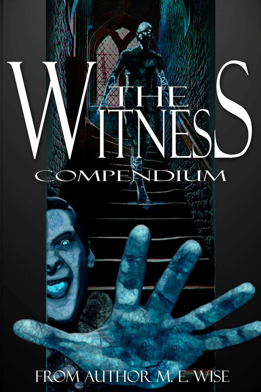 The Witness Compendium poster