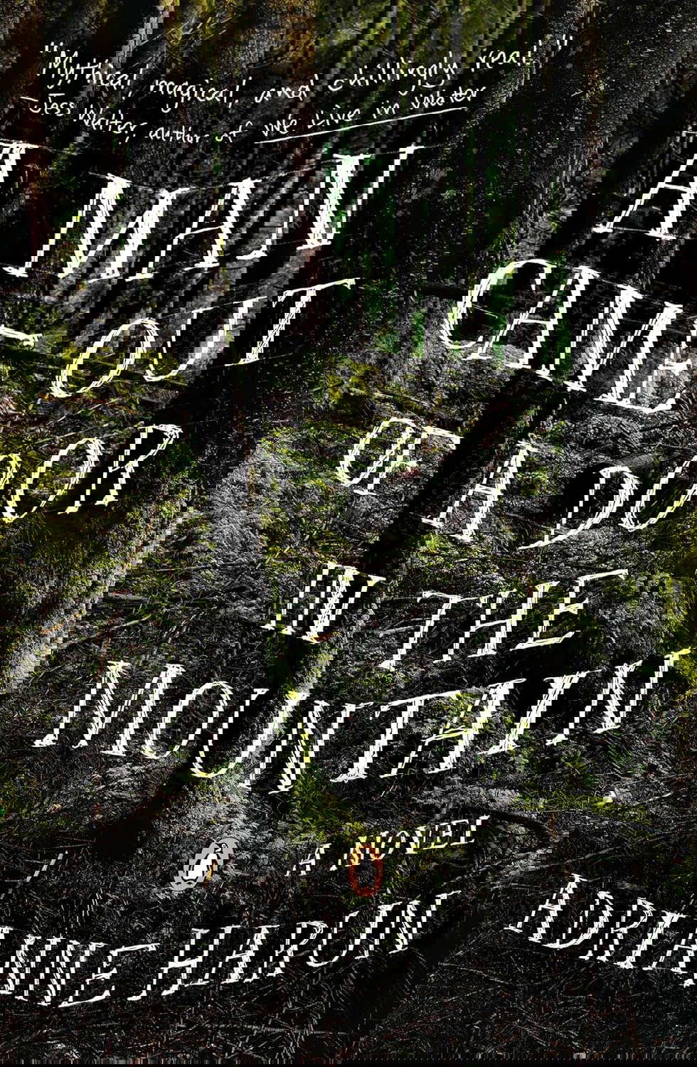 A Man Came Out of a Door in the Mountain poster