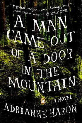 A Man Came Out of a Door in the Mountain poster