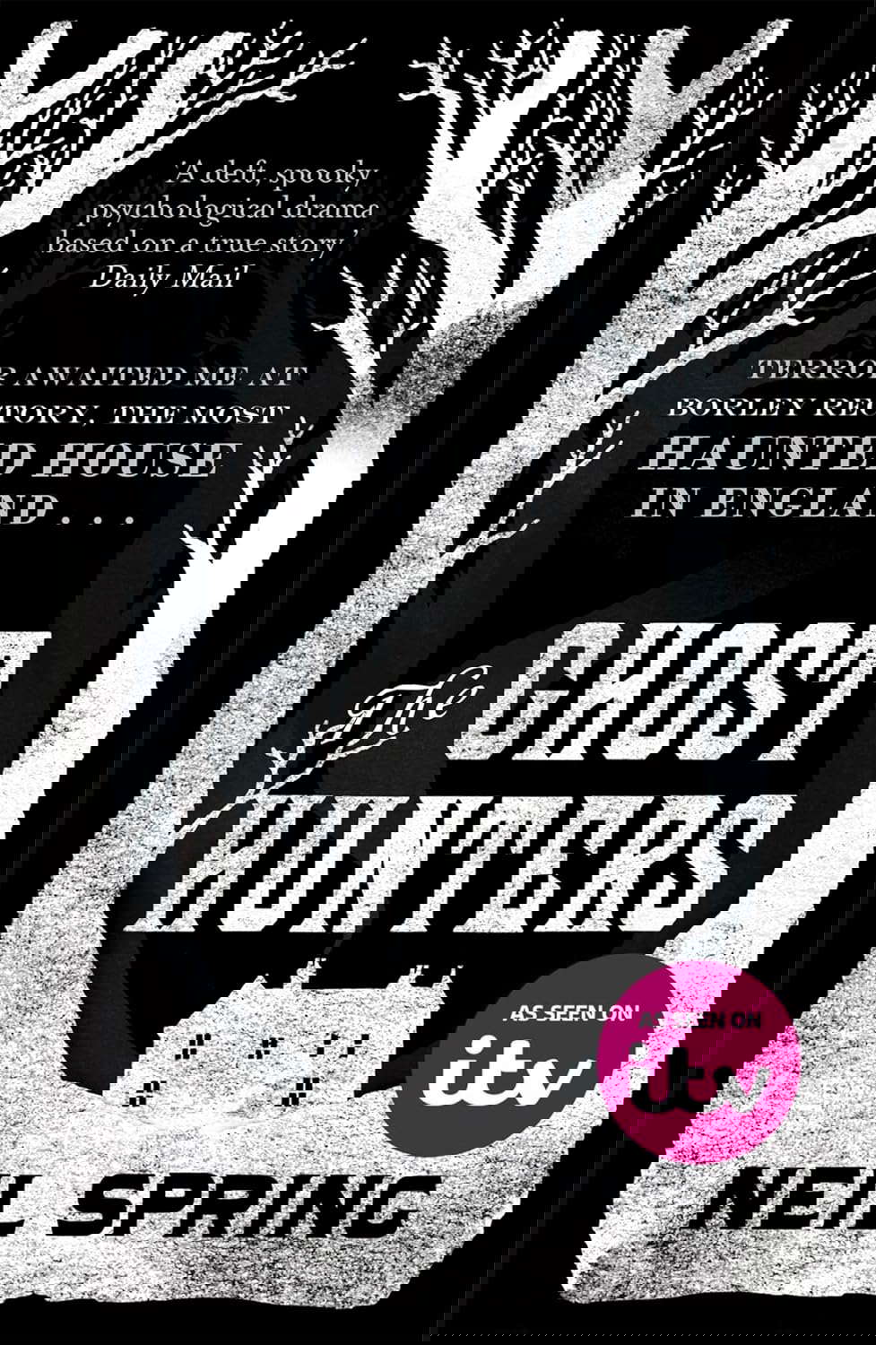 Ghost Hunters poster