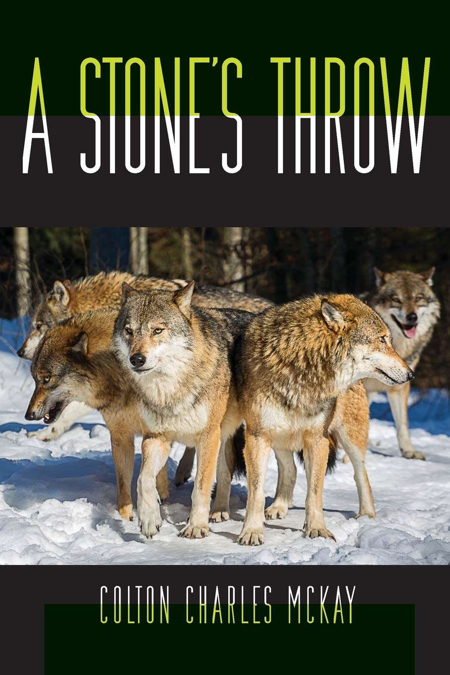 A Stone's Throw poster