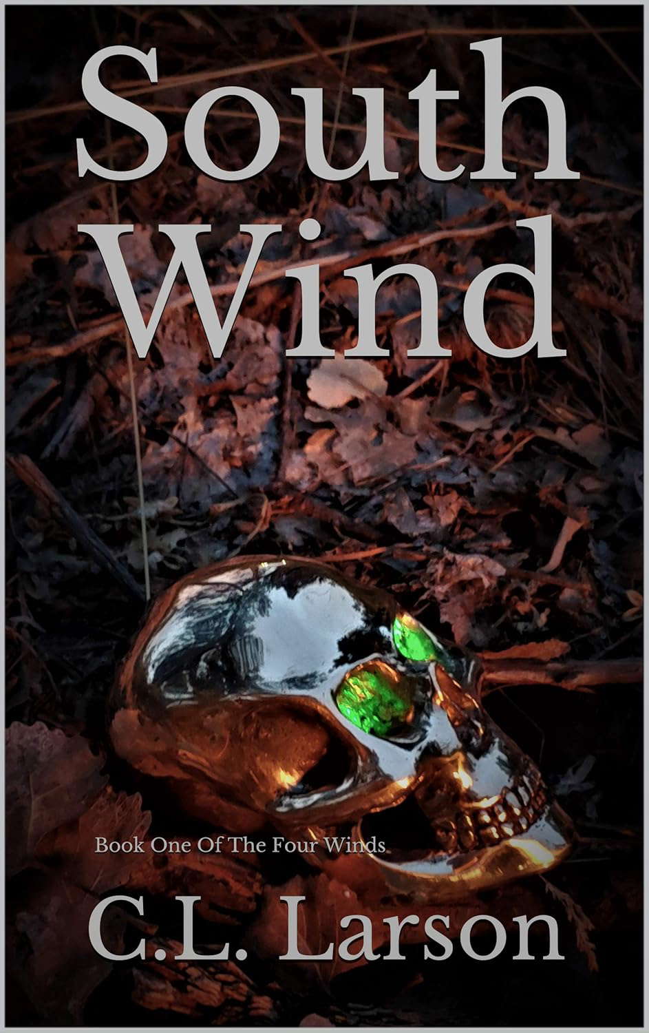 South Wind (The Four Winds Book 1) poster