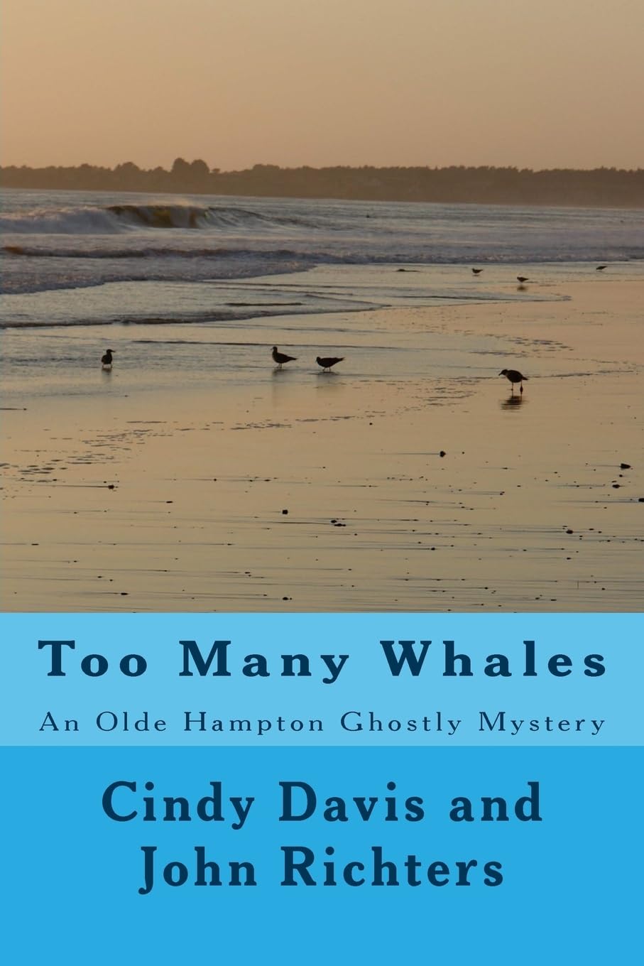 Too Many Whales: An Olde Hampton Ghostly Mystery poster