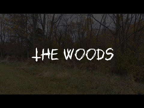 The Woods: a short horror film (Halloween special)